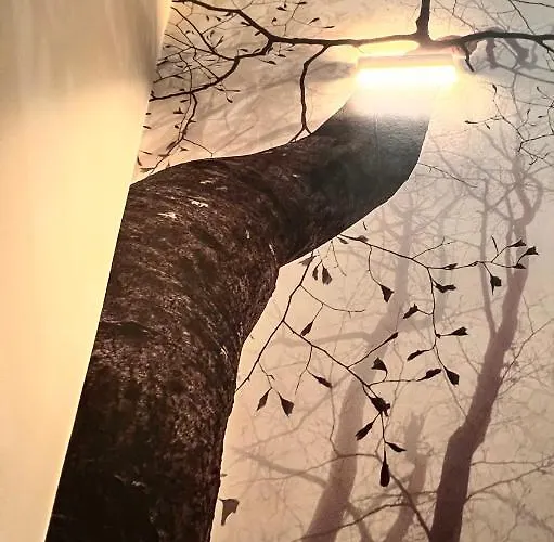 Center Sereo Old Town شقة فيجو